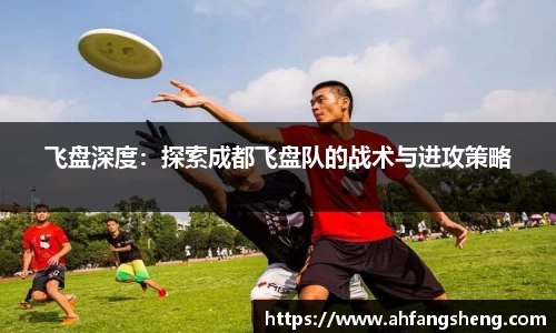 飞盘深度：探索成都飞盘队的战术与进攻策略